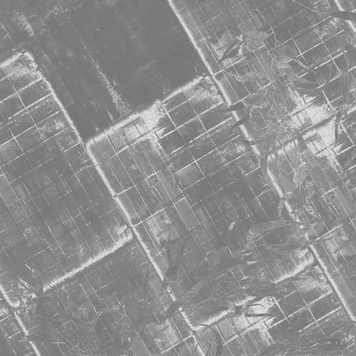 Фотообои KT Vanilla Lime 14359