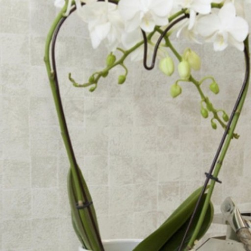 Обои Architector, коллекция Carrara, артикул CP00715