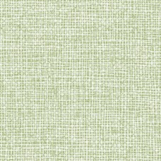 Обои Daisy Bennet (Jaima Brown)...