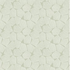 Обои Seabrook AN71104