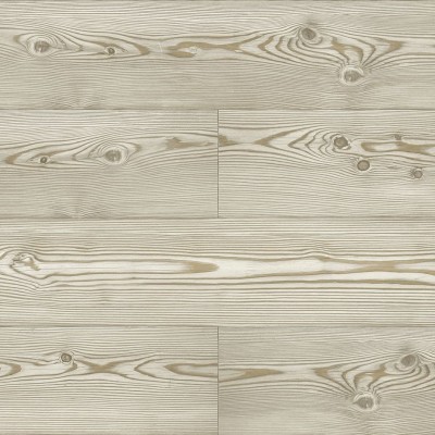 Обои Daisy Bennet (Jaima Brown) JB21706 