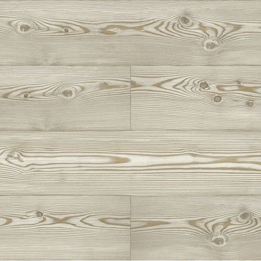 Обои Daisy Bennet (Jaima Brown), коллекция Woodlands Resource, артикул JB21706