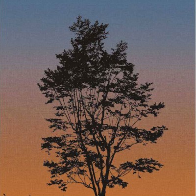 Обои Wallquest TR71905M 