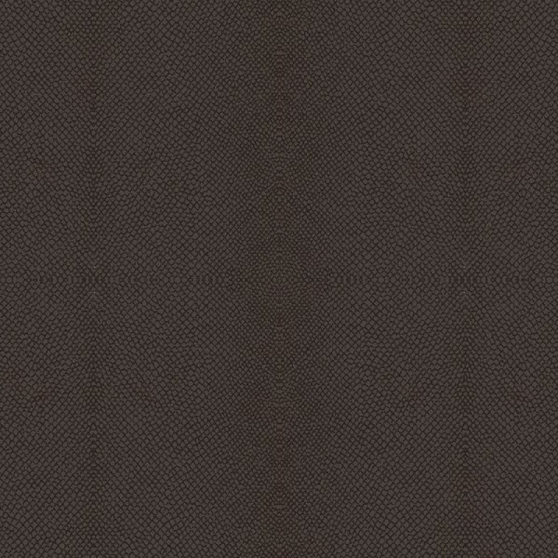 Обои KT-Exclusive Animalier AN627