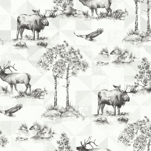 Обои KT-Exclusive, коллекция Destination USA, артикул TH50100