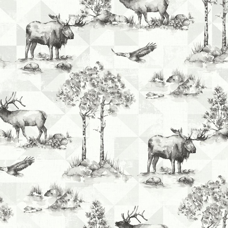 Обои KT-Exclusive TH50100 