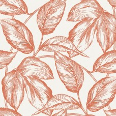 Обои Seabrook SC20001 