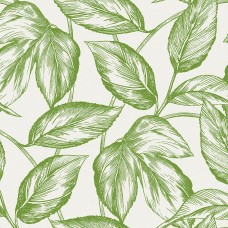 Обои Seabrook SC20004 