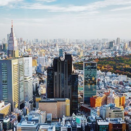 Обои KT-Exclusive, коллекция City Love, артикул CL65A