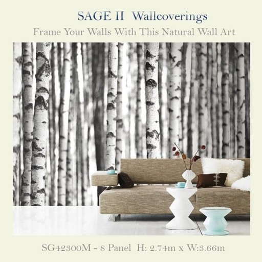 Фотообои Wallquest Sage II SG42300M