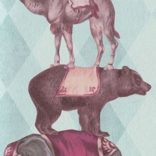 Обои KT-Exclusive, коллекция Discovery, артикул DYW0004