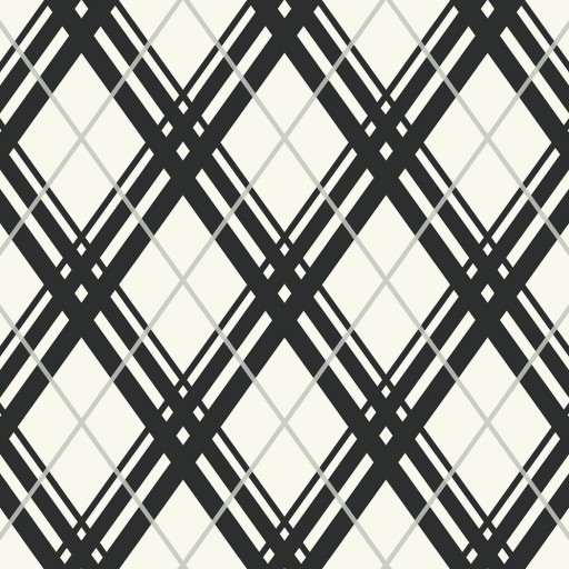 Обои Paper and Ink, коллекция Black/White, артикул BW22010