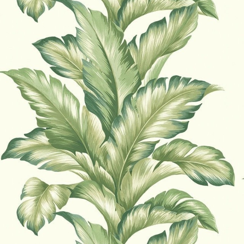 Обои KT-Exclusive TP81204 Обои KT-Exclusive TP81204