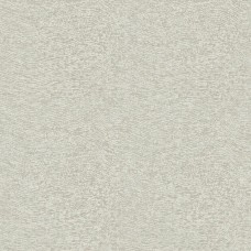 Обои Architector FR01043