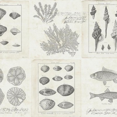 Обои KT-Exclusive TH50908 Обои KT-Exclusive TH50908