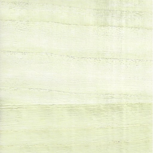 Обои Paper and Ink, коллекция Natural Silhouettes, артикул NS52103