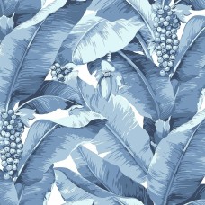 Обои Daisy Bennet (Jaima Brown)...