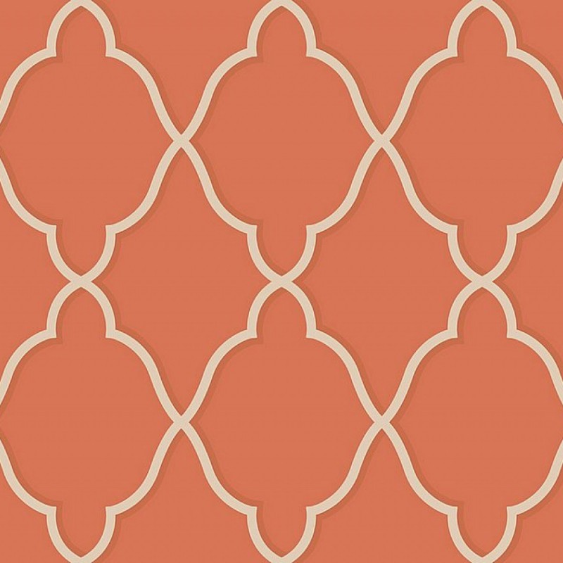 Обои Daisy Bennet (Jaima Brown)...