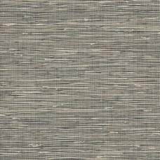 Обои Daisy Bennet (Jaima Brown)...