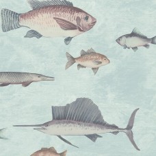 Обои KT-Exclusive DYW0002 