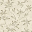 Carrara Archit