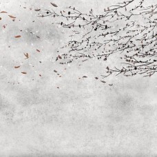 Обои Architector 6600085 