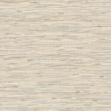 Обои Daisy Bennet (Jaima Brown)...