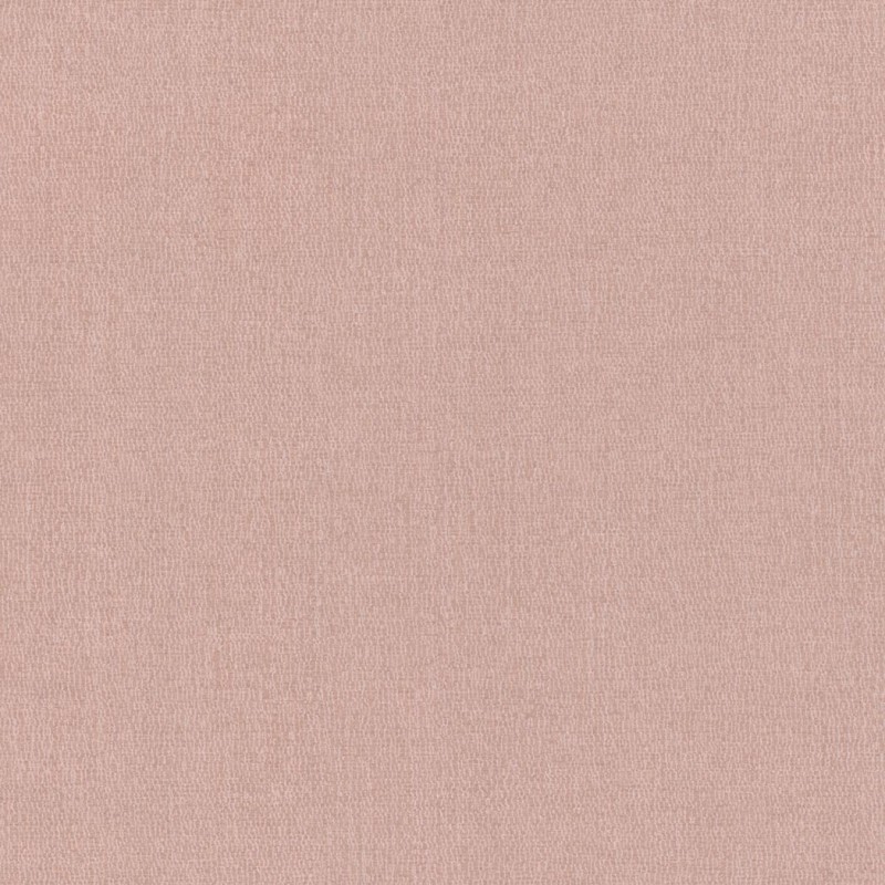 Обои Emil and Hugo Moana 301341