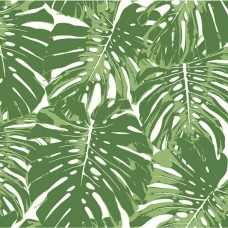 Обои Seabrook TA20004 