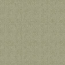 Обои Architector PA01621 