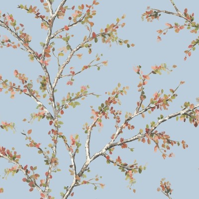 Обои Daisy Bennet (Jaima Brown) JB20202 