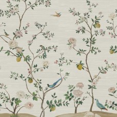 Обои Daisy Bennet (Jaima Brown)...