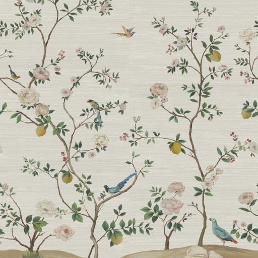 Обои Daisy Bennet (Jaima Brown), коллекция Anthology Resource, артикул DB11608M