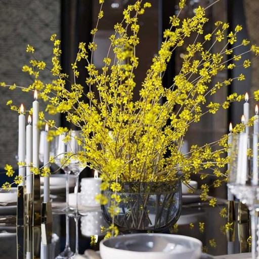 Обои бежевые флизелиновые Tiffany Designs Euphoria EF2605