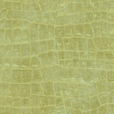 Обои Seabrook TA20504 