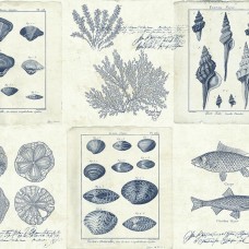 Обои KT-Exclusive TH50902 