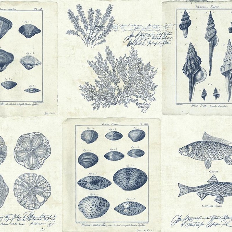 Обои KT-Exclusive TH50902 Обои KT-Exclusive TH50902