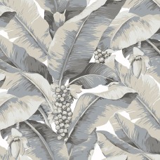 Обои Daisy Bennet (Jaima Brown)...