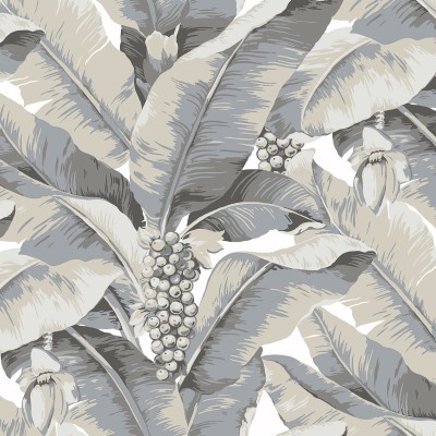 Обои Daisy Bennet (Jaima Brown) DB10100 