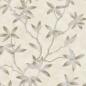 Carrara Archit