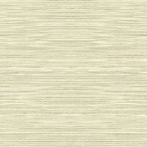 Бежевые обои для стен KT Textures RC10315