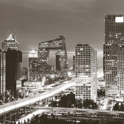 Обои KT-Exclusive, коллекция City Love, артикул CL81A