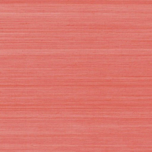 Обои Daisy Bennet (Jaima Brown), коллекция  Chelsea Lane, артикул JB62501