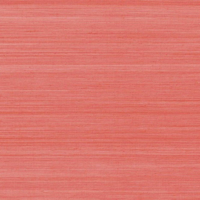 Обои Daisy Bennet (Jaima Brown)...