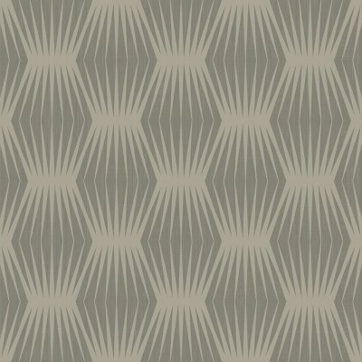 Обои Casa Mia RM20208 Обои Casa Mia RM20208