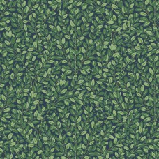 Обои Architector KT30624 