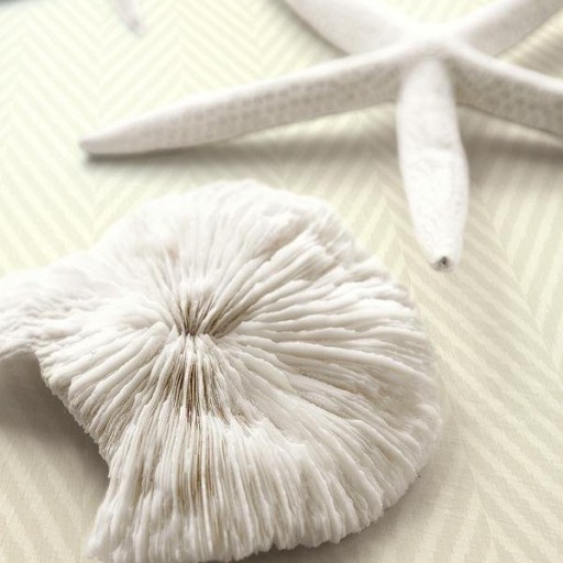 Обои Wallquest, коллекция  Yacht Club, артикул YC61602