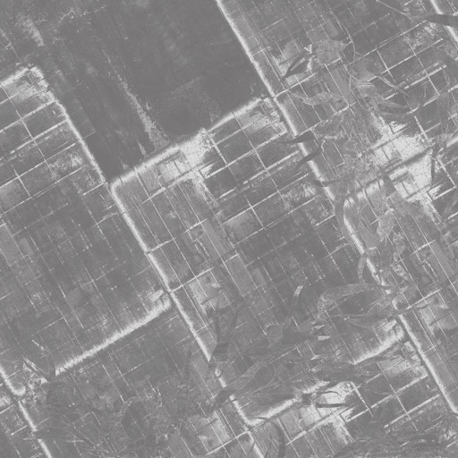 Фотообои KT Vanilla Lime 14358