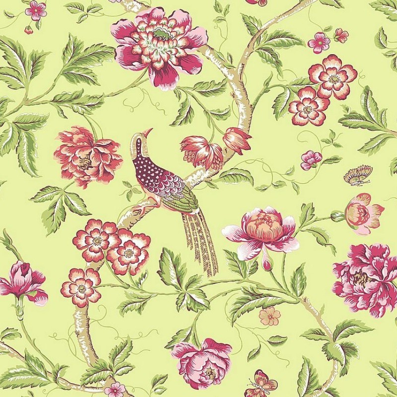 Обои Daisy Bennet (Jaima Brown)...