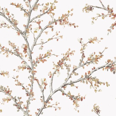 Обои Daisy Bennet (Jaima Brown) JB20201 Обои Daisy Bennet (Jaima Brown) JB20201